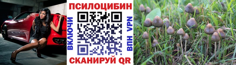 цены наркотик  Ликино-Дулёво  Псилоцибиновые грибы Psilocybe 
